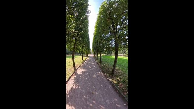 Усадьба "Архангельское".