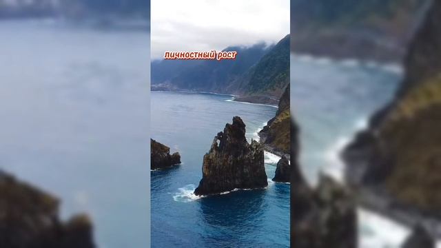 Ответ Алисы на вопрос: "Что важнее в жизни человека?". смотреть онлайн