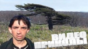 ПРИКОЛ \ ПОДБОРКА ПРИКОЛОВ Я РЖАЛ ДО СЛЕЗ, ЛУЧШИЕ ПРИКОЛЫ 2025 СМЕШНЫЕ ВИДЕО, ДЕВУШКИ , ПОДБОРКА