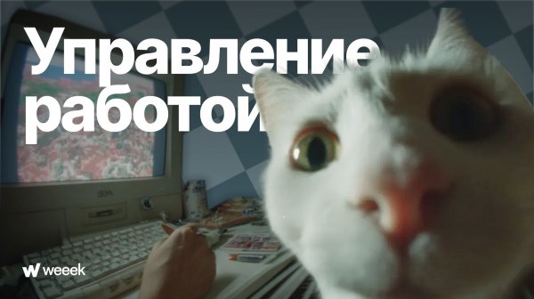 Как наладить каждодневную работу. Серия 4