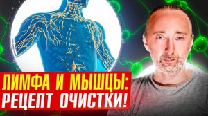 Сбор трав для очищения лимфатической системы! РЕЦЕПТ.
