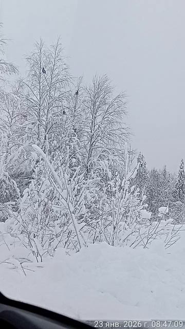 TimeVideo_20260123_084703.mp4