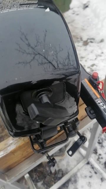 лодочный мотор Waterman 3,6