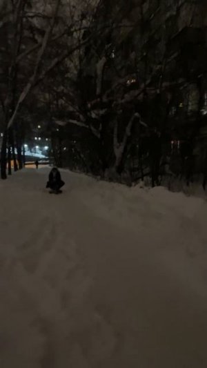 электроснегокат