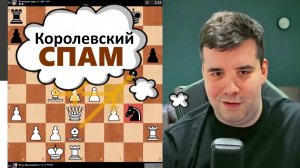 Королевский СПАМ! МГ Ян Непомнящий 03.02.2026