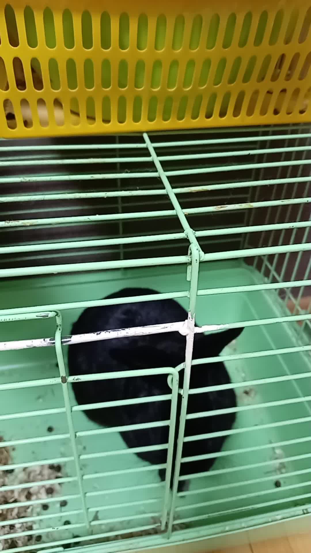 миша смотреть онлайн