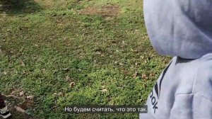 Ep.376 Family Vacation Vibes. Nature Walk at a Wildlife Sanctuary (Russian Subtitles)