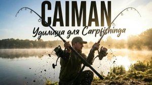 Удилища для ловли карпа Caiman