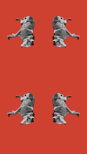 Влад закроев подпишись пж🥺