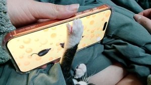 будет очень смешное А когда-нибудь я дам вам свой номер