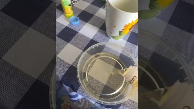 79233210982__3983C783-8631-4DE9-8495-560230521F83 смотреть онлайн