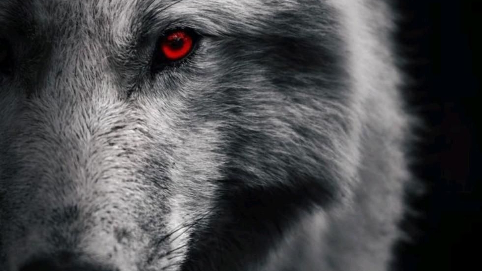 Я тебя искал смотреть онлайн