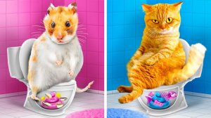 Лайфхаки с питомцами 🐾 Зоопарк в комнате: из бедного в богатого