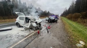 Аварии и ДТП на дорогах ТОРОПЫГИ за рулем