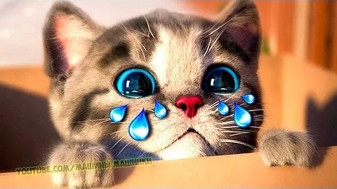 Приключения маленького Котенка обучение детей дошкольного возраста Веселая игра мультик для детей 26 смотреть онлайн