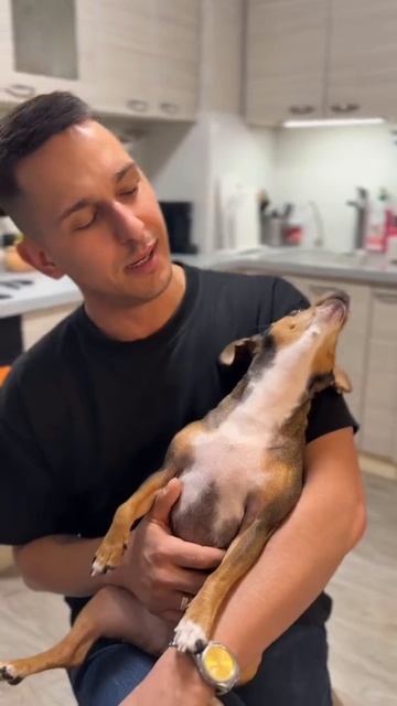 Певец на тренировке смотреть онлайн