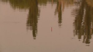 КРУПНЫЕ РЫБИНЫ НА ПОПЛАВОЧНУЮ УДОЧКУ КЛЮЮТ! ПРУД С МОНСТРАМИ! Рыбалка на поплавок на карпа и карася