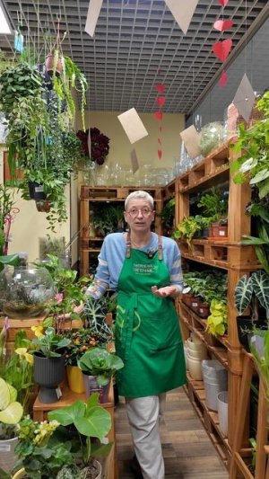 Какие из вредителей комнатных растений самые страшные