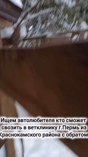 Злата болеет третьий день