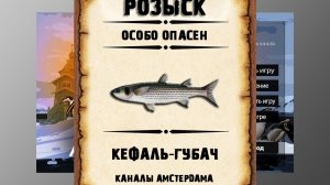 Мутанты рр3. Кефаль-губач #3 рр3. Каналы Амстердама.