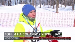 «Амурская метель»: гонки на собачьих упряжках. Новости. 09/02/2026. GuberniaTV
