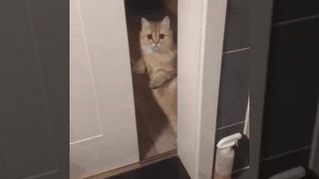 Интересно,чем он там занимается?🤨 смотреть онлайн