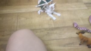 Антилопа и змея 2 серия Новый друг