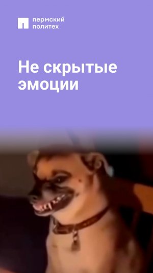 Мы соглашаемся, стиснув зубы