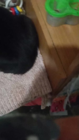 Распаковка