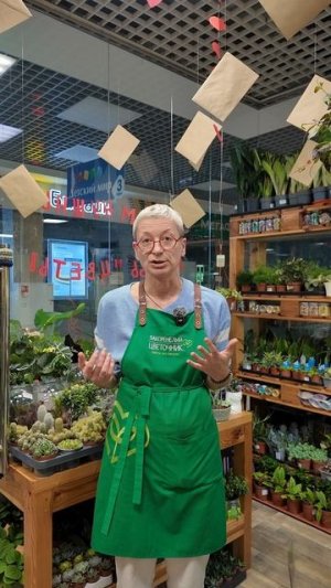 Профилактика вредителей и нужен ли карантин для новых растений