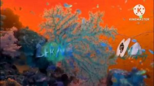 Preview 2 Zig And Sharko Intro