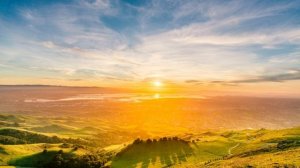 Клип 2026 "Природа и дружба" Money_Honey. Наконец-то.