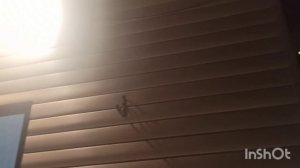 Живём в деревне🥰