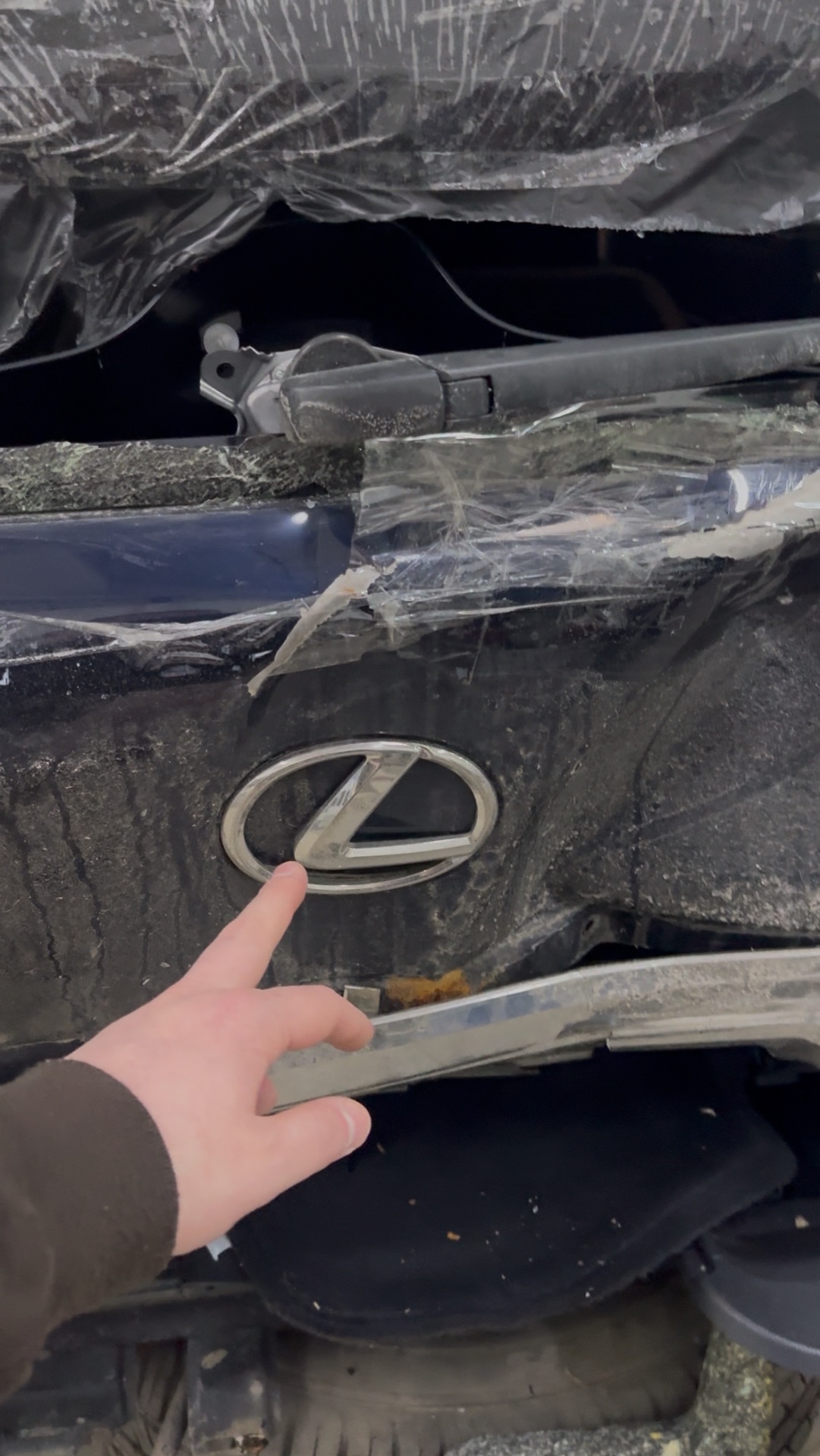 Оцинковка Лексус