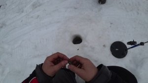 Зимняя рыбалка. Ночевка в избе.