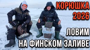 Корюшка, первая рыбалка 2026 года.