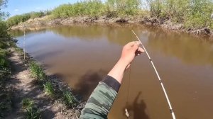 НЕ ОЖИДАЛ ТАКОГО!!! ТОЛЬКО ЗАКИНУЛ И СРАЗУ КЛЮНУЛ САЗАН!  ВЕЧЁРКА НА ДОНКИ В ОЧЕНЬ КРАСИВОМ МЕСТЕ