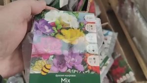 Много цветов в магазине светофор