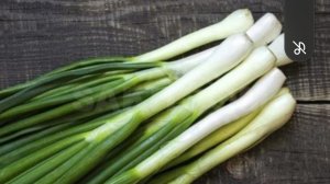 ПОДКОРМИТЬ СТАРДАСТ ПЕРЕД ПОСАДКОЙ.