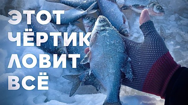 ЭТОТ ЧЕРТИК ЛОВИТ ВСЮ РЫБУ.ОЧЕНЬ УЛОВИСТЫЙ ЧЕРТИК. Рыбалка в ГЛУХОЗИМЬЕ