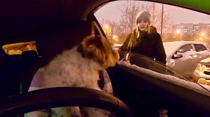 Зарядка нашлась, где не искали, Милка сходит с ума 06.02.26