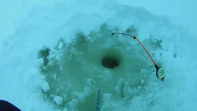 ЛОВЛЯ СУДАКА НА ДОНКИ ЗИМОЙ. Рыбалка на ВОЛГЕ смотреть онлайн