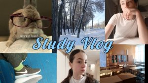 Study Vlog! неделя моей учебы/эстетика