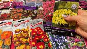 САМЫЕ КРАСИВЫЕ ЦВЕТЫ для 2026! Отличный выбор цветов