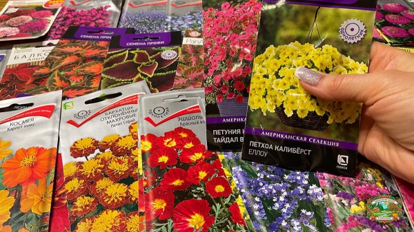 САМЫЕ КРАСИВЫЕ ЦВЕТЫ для 2026! Отличный выбор цветов