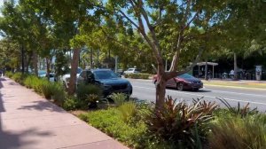 Прогулка по Майями, Флорида, США | Городской шум для спорта, медитаций и фона