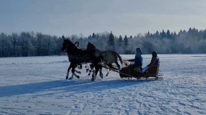 Русская Тройка