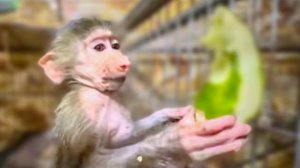 Сегодня мы созванивались с доктором-неврологом пр поводу ЗДОРОВЬЯ. МАНИ!