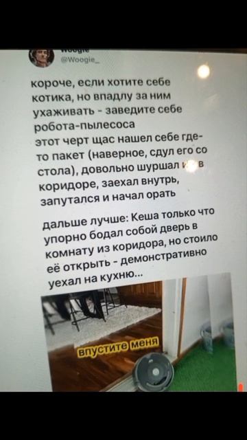 мемас смотреть онлайн