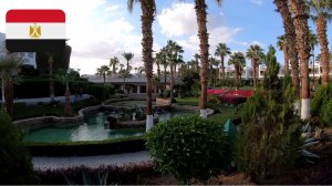 #36 Краткий обзор отеля Monte Carlo Sharm Resort & SPA 5* и Royal Monte Carlo 16+ 5*. Декабрь 2025